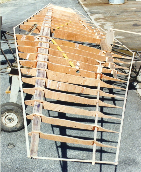 SR-1 Snoshoo Wing